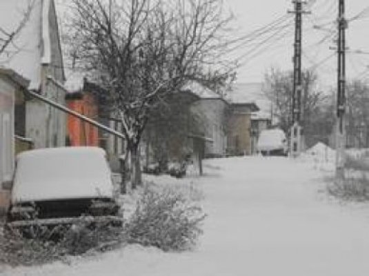 Iarna grea a distrus 350.000 hectare de culturi agricole